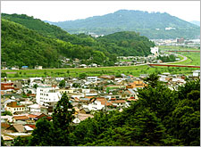 緑豊かな打吹山から見た倉吉の町並み