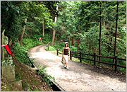 長谷寺へと続くお地蔵さんロードは、豊かな自然に囲まれている
