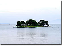 宍道湖に浮かぶ嫁ヶ島には、松の木が生い茂っている