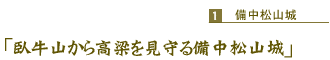 「臥牛山から高梁を見守る備中松山城」
