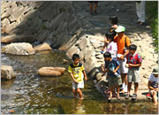 川遊びに興じる子供たち。無邪気でいいな