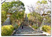野見宿禰神社の石段