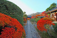 弘源寺　秋の特別拝観