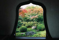 東福寺　天得院　紅葉を愛でる特別拝観とお食事プラン