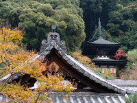 永観堂　秋の寺宝展