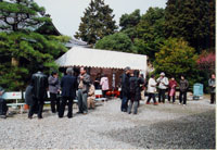 梅宮大社　梅・産（うめうめ）祭