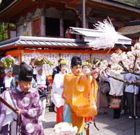 地主神社　えんむすび祈願さくら祭り