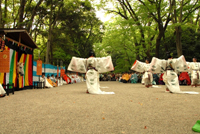 下鴨神社　御蔭祭（みかげまつり）