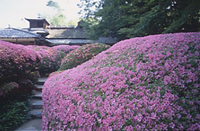 詩仙堂 丈山翁遺宝展