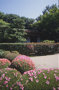 詩仙堂 丈山翁遺宝展