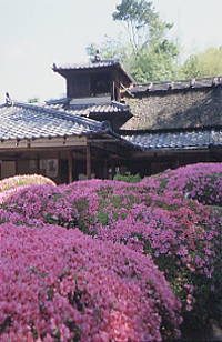 詩仙堂 丈山翁遺宝展