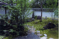 東林院　沙羅の花を愛でる会
