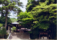 平岡八幡宮　「花の天井」秋の特別拝観