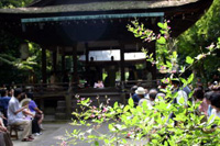 梨木（なしのき）神社　萩まつり