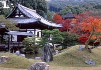 高台寺・圓徳院　秋の特別拝観とライトアップ