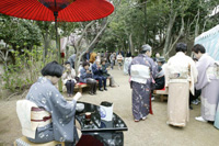 石清水八幡宮　男山桜まつり