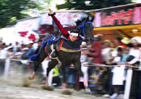 藤森神社　藤森祭