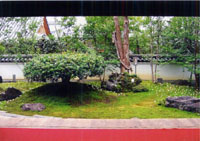 東林院　沙羅の花を愛でる会