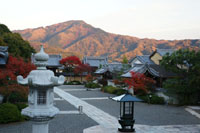 妙満寺 大根だき
