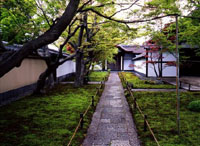 大徳寺　黄梅院　春の特別公開