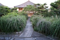 常林寺　萩供養