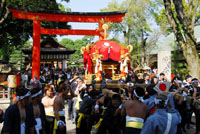 城南宮　城南祭(餅祭り)