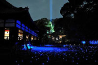 青蓮院門跡　夜間特別拝観