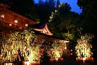 貴船神社　七夕笹飾りライトアップ