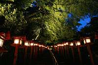 貴船神社　七夕笹飾りライトアップ