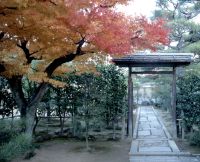 秋の非公開寺院特別公開　大徳寺総見院