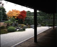 秋の特別公開　大徳寺興臨院
