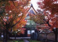 秋の非公開寺院特別公開　大徳寺黄梅院