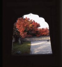 秋の非公開寺院特別公開　大徳寺黄梅院