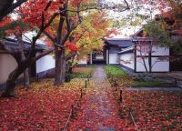 秋の非公開寺院特別公開　大徳寺黄梅院