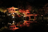 醍醐寺　秋期夜間拝観【事前申込制】