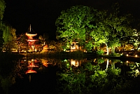 大覚寺　夜間特別拝観　「真紅の水鏡」