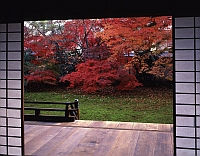 秋の特別公開 宝鏡寺（ほうきょうじ）　秋の人形展