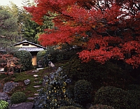 秋の特別公開 宝鏡寺（ほうきょうじ）　秋の人形展