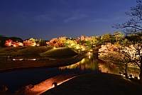 梅小路公園　紅葉まつり