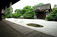 大徳寺本坊・法堂天井龍特別公開