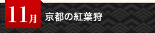 11月 京都の紅葉狩