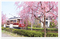 お弁当持参で楽しめる！京都 公園桜スポット　
