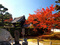 山科の紅葉