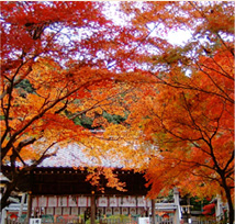 鍬山神社