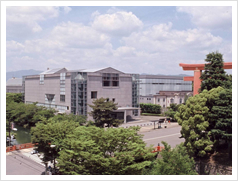 京都国立近代美術館 京都国立近代美術館