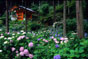 写真11