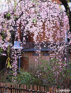 祇園白川