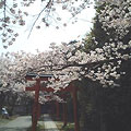 吉田神社