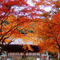 鍬山神社