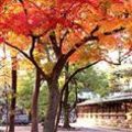 上御霊神社